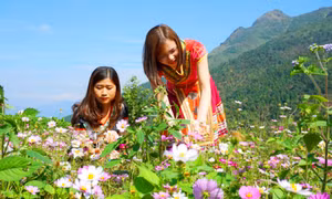 "Flower paradises" in Quang Ninh