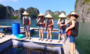 Community-based tourism on Ha Long Bay creates fishermen' sustainable livelihood