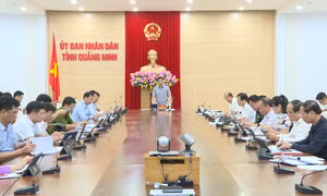 Quang Ninh Provincial People's Committee reviews the progress of smart city construction projects