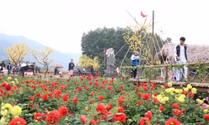 Visiting flowers valley on the foot of Yen Tu holy mountain
