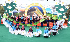 So Flower Festival kicked off in Binh Lieu on Dec. 12