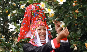 Binh Lieu in the white colour of So flower