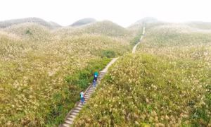 Quang Ninh welcomed more than 1.25 million tourist arrivals in November