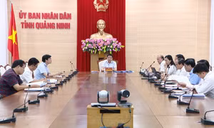 Quang Ninh's Chairman works with IPA