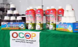 Dong Trieu milk - a taste of indigenous Quang Ninh