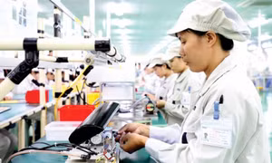 FDI businesses enjoy US$29 bln export surplus despite COVID-19