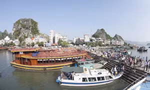 Van Don ancient port to be nominated for Special National Relic Site