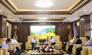 Quang Ninh's leader receives Mc Kinsey Consulting Firm