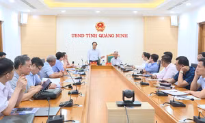 Quang Ninh People's Committee reviews the proposal of agricultural investment and trading