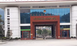 Bac Phong Sinh Border Gate resumes customs clearance