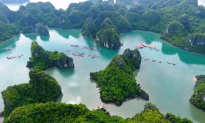 Attractive attrations on Ha Long Bay and Bai Tu Long Bay