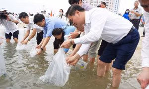 2.1 million fish released in the wild