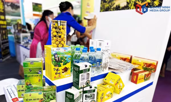 Strengthening trade promotion to expand markets