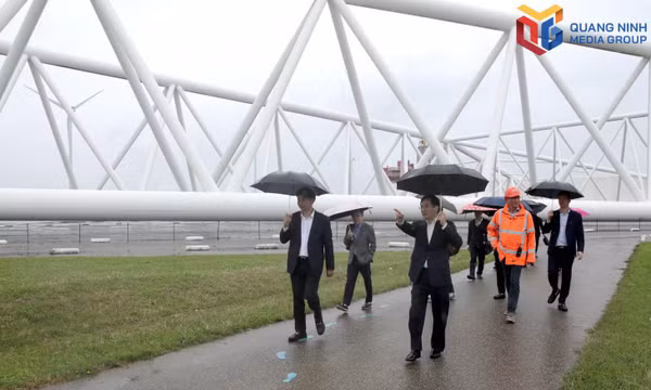 Quang Ninh promotes connectivity and investment cooperation with the Netherlands