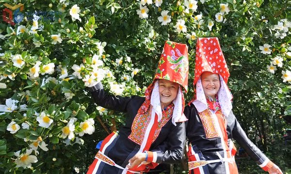 Colours of Quang Ninh’s ethnic festivals