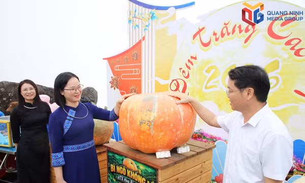 Hoanh Mo develops OCOP products based on local strengths
