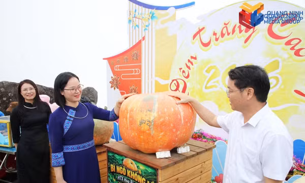 Hoanh Mo develops OCOP products based on local strengths