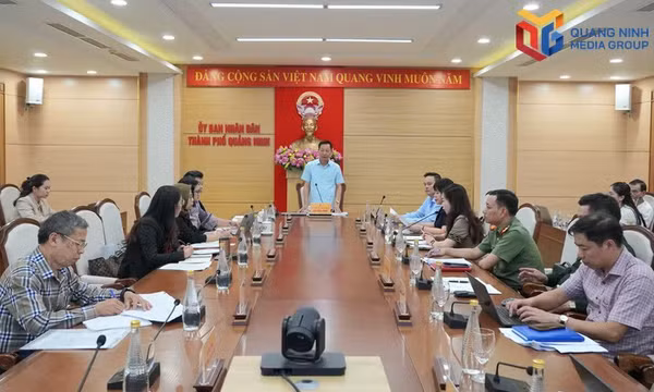 Thorough preparations for Meet Indonesia in Quang Ninh