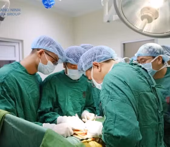 Moving towards full mastery of kidney transplantation techniques
