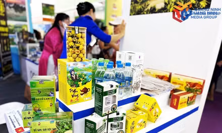 Strengthening trade promotion to expand markets