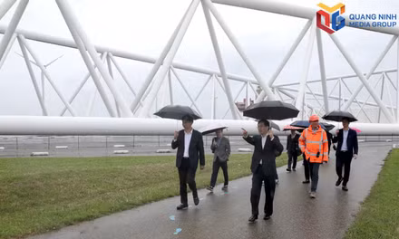 Quang Ninh promotes connectivity and investment cooperation with the Netherlands