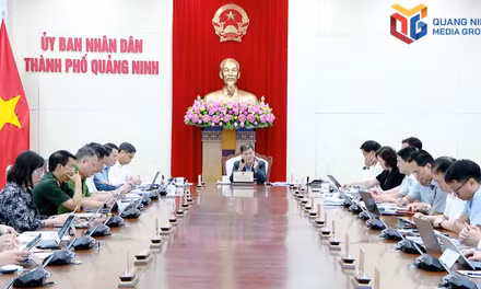 Quang Ninh City People’s Committee reviews pre-feasibility reports for key projects