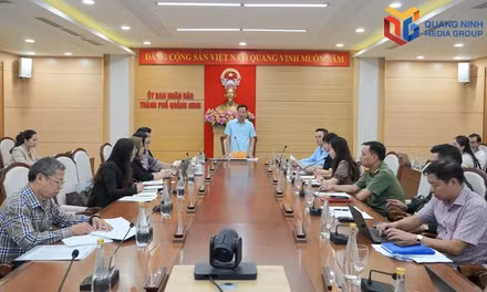 Thorough preparations for Meet Indonesia in Quang Ninh