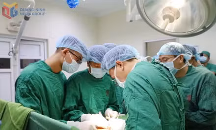 Moving towards full mastery of kidney transplantation techniques
