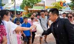 Quang Ninh welcomes around 255,000 tourist arrivals in first two days of National Day holiday