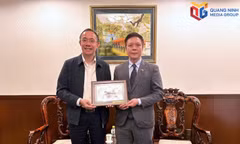 Quang Ninh strengthens connectivity, expands cooperation with Japan
