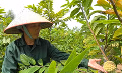 Expanding agricultural product consumption through digital platforms
