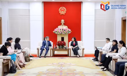 Quang Ninh City leader receives UNESCO representative in Viet Nam