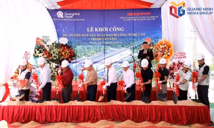 High-quality FDI drives economic Growth 