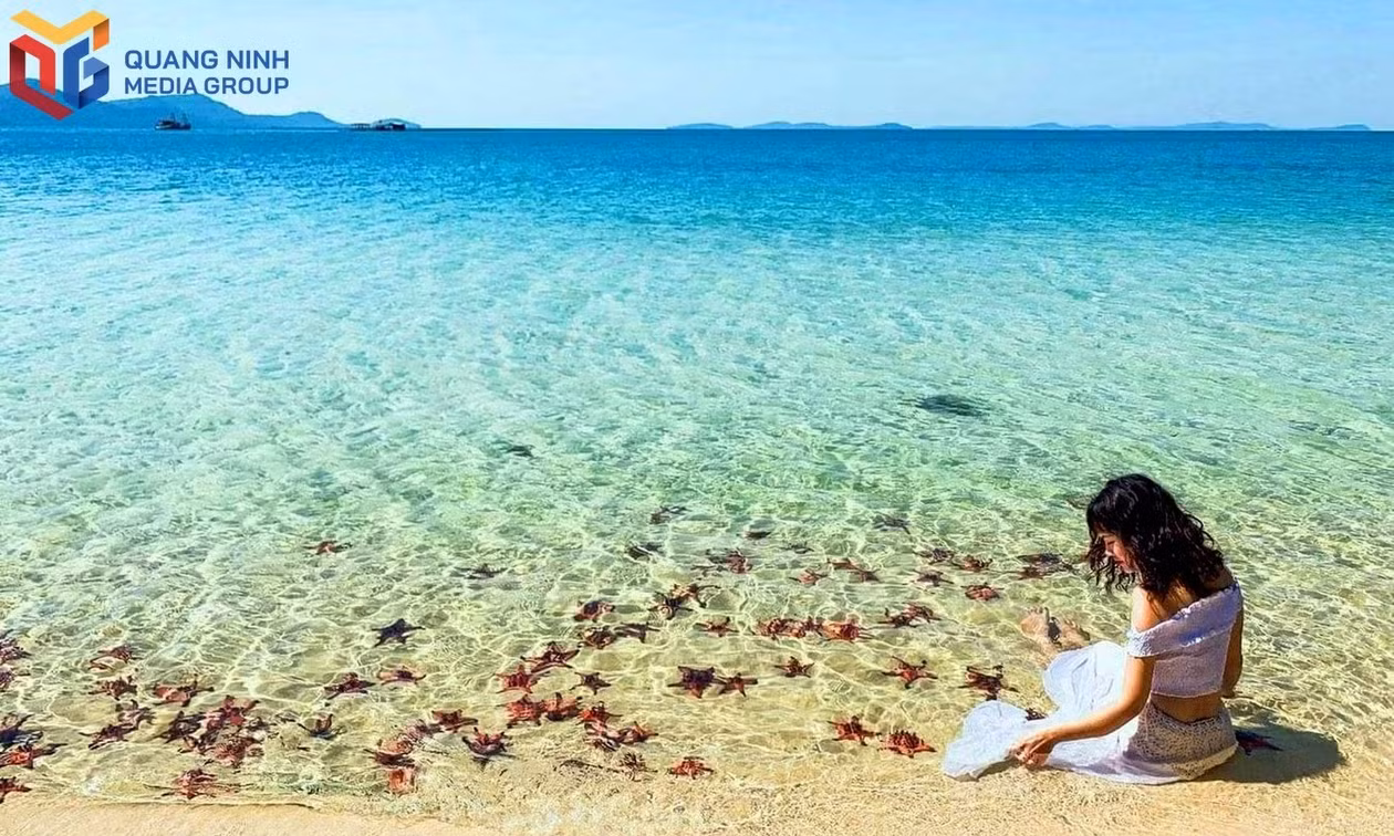 Co To island offers special travel packages and discounts to welcome visitors.