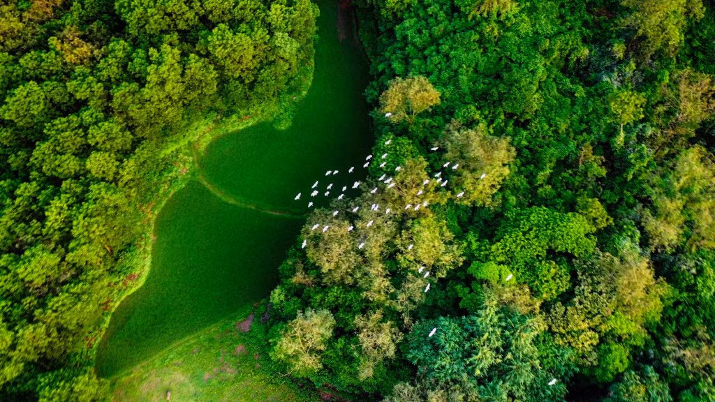 Ảnh: Báo Quảng Ninh