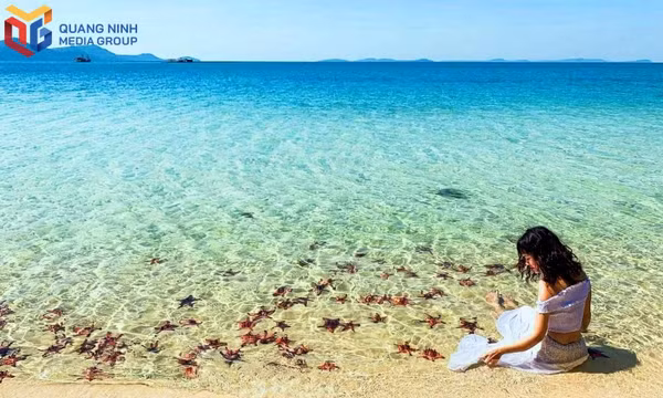 Co To island offers special travel packages and discounts to welcome visitors.