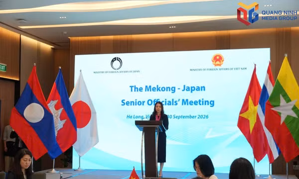 Deputy Foreign Minister Nguyen Minh Hang speaks at the Mekong-Japan Senior Officials’ Meeting.