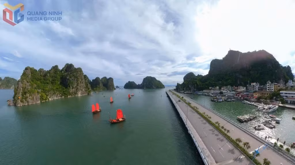 2533959-wtm-3f6aa987b73852ea98a4955785f2e68d.jpg