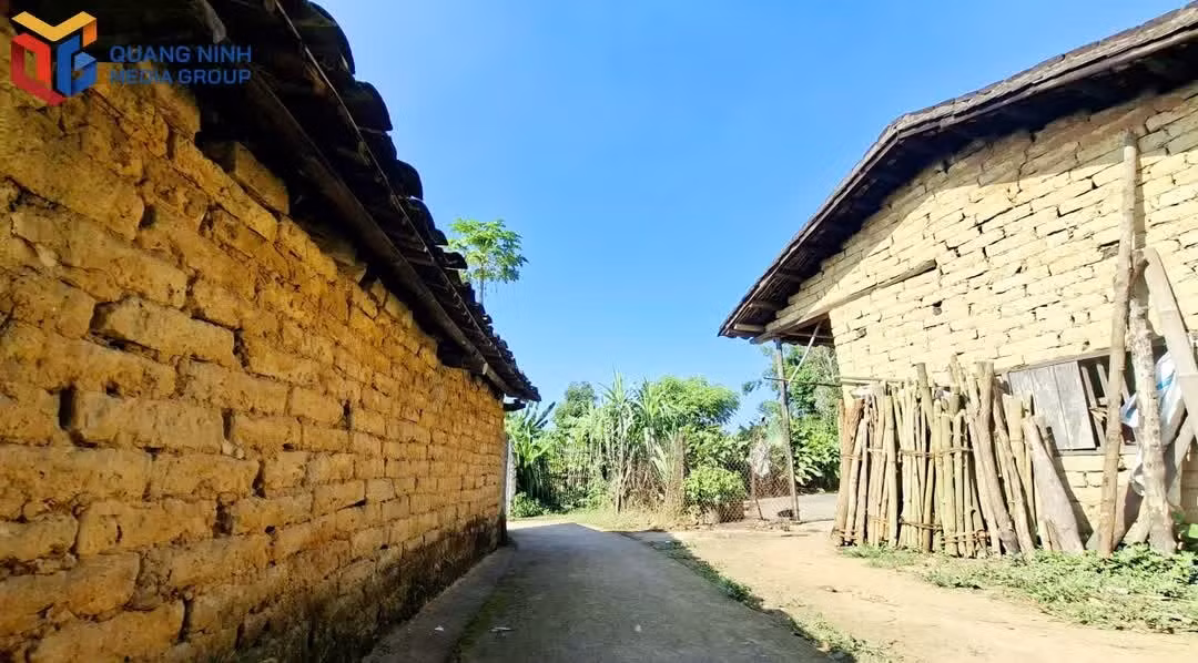89.jpg
