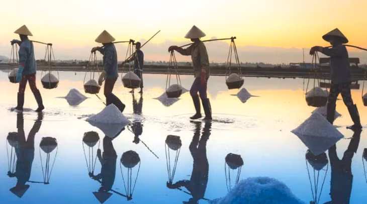 The harvest of salt in Sa Huỳnh, Quảng Ngãi. Photo Nguyễn Quang Vinh/sahu.vn