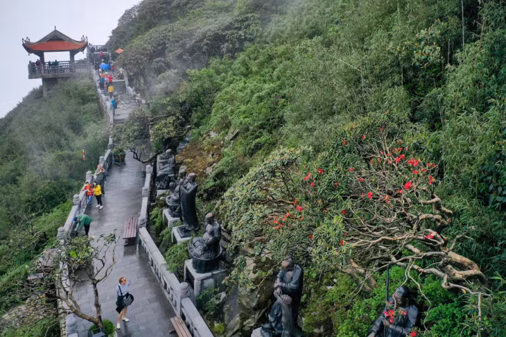 The Path to See Azaleas Blooming at Sun World Fansipan Legend