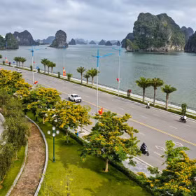 Yellow flowers lit up the coastal city