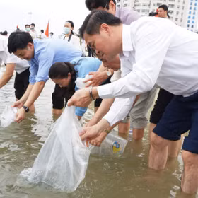 2.1 million fish released in the wild