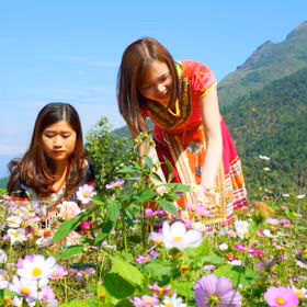 "Flower paradises" in Quang Ninh