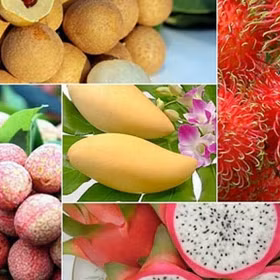 Fruit, nut exports to demanding markets enjoy growth