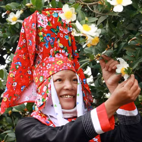 Binh Lieu in the white colour of So flower