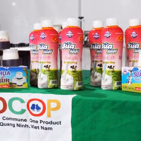 Dong Trieu milk - a taste of indigenous Quang Ninh