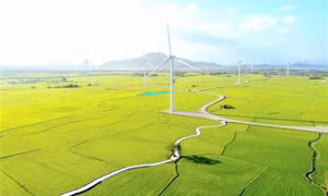Investment in green growth gains momentum in SEA