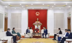 Quang Ninh continues to promote cooperation and investment with the Kingdom of Belgium 