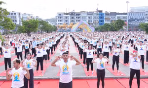 More than 3,000 people join International Day of Yoga 2026